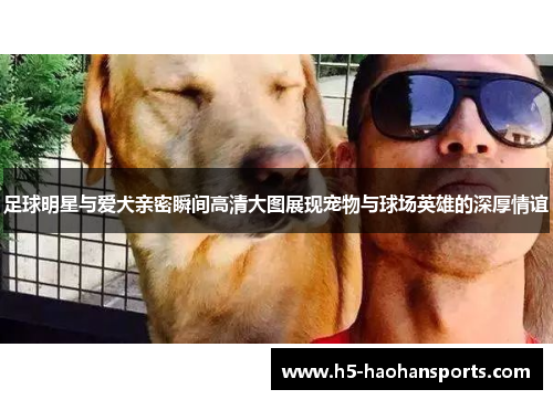 足球明星与爱犬亲密瞬间高清大图展现宠物与球场英雄的深厚情谊